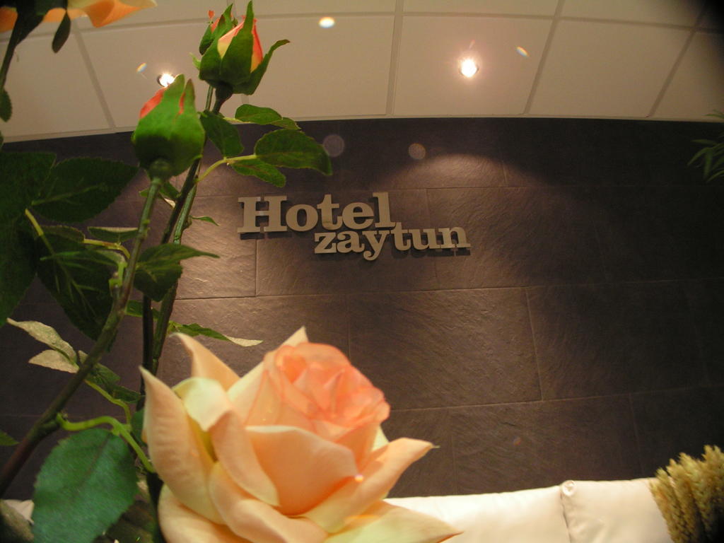 מקיננסה Hotel Zaytun מראה חיצוני תמונה